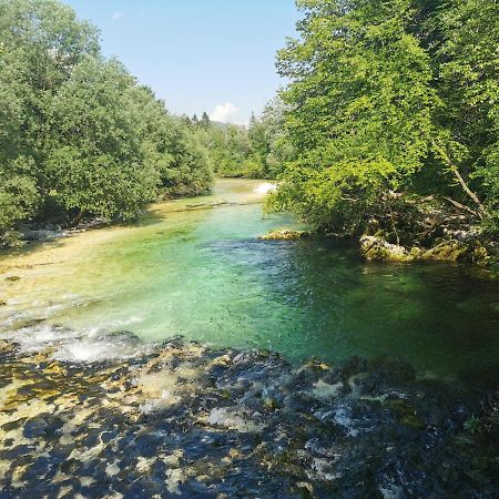 Apartma Neva Bohinj Esterno foto