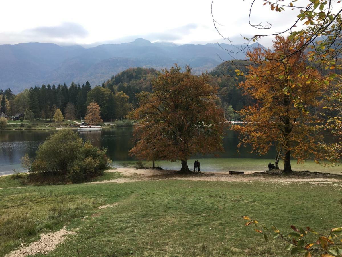 Apartma Neva Bohinj Esterno foto