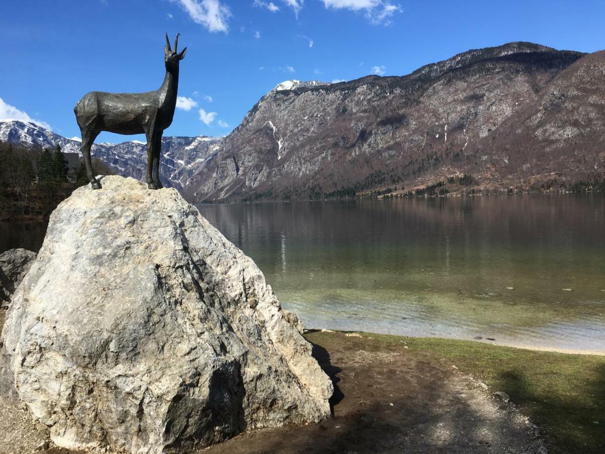Apartma Neva Bohinj Esterno foto